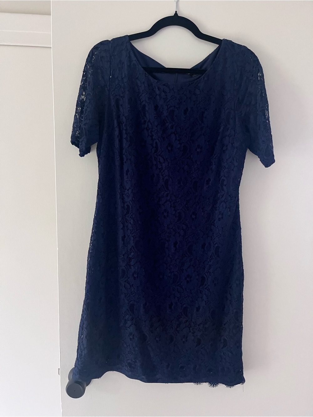 Navy Lace Short Sleeve Shift Dress